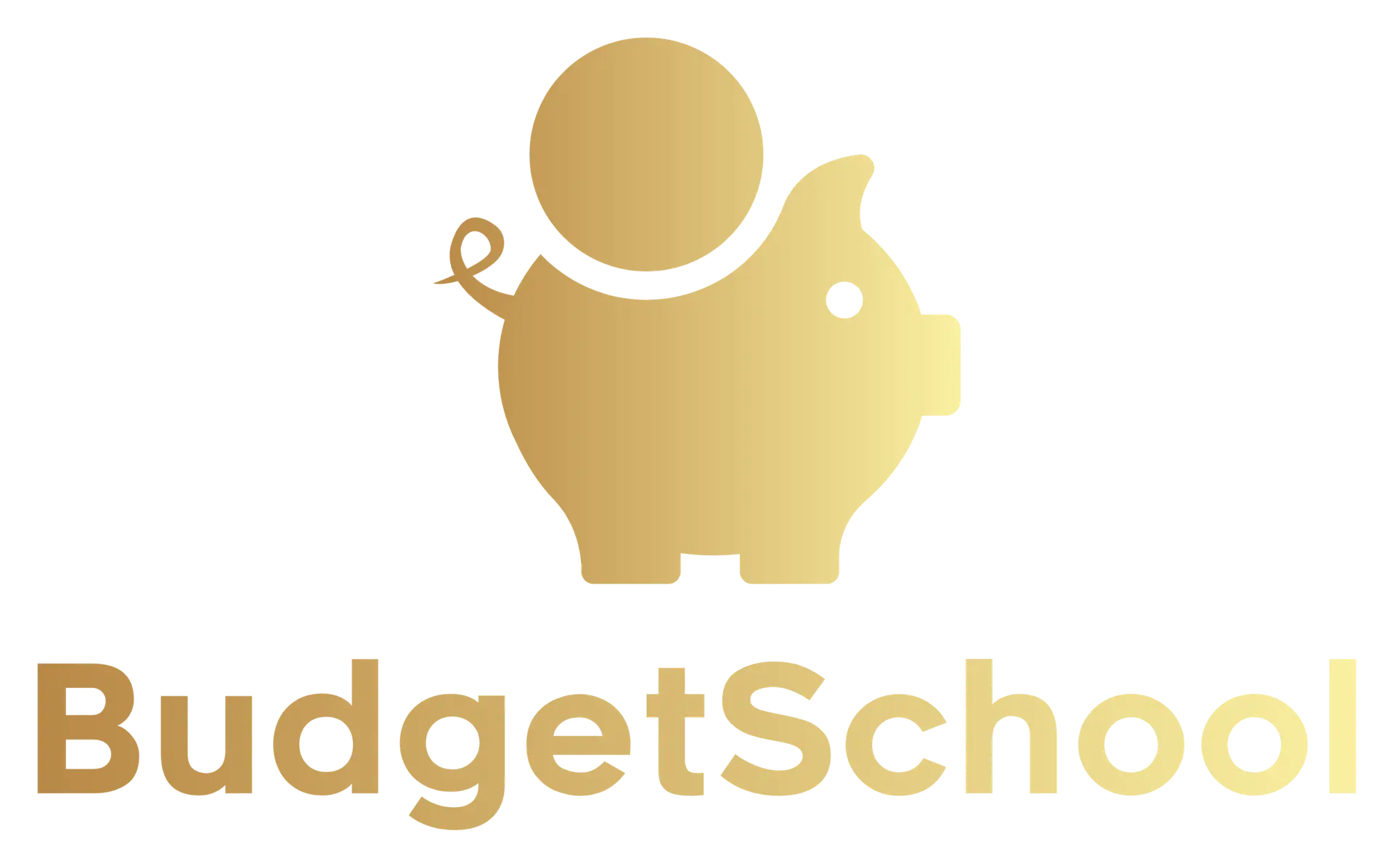 BudgetSchool